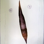 Stasys Eidrigevičius Bialy thumbnail